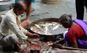 Migrant workers in India